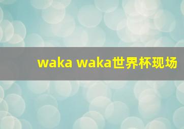 waka waka世界杯现场